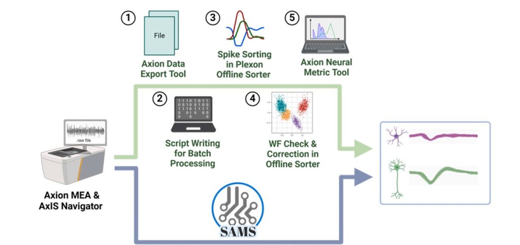 Top: Pipeline for spike sorting involving multiple software tools and manual steps. Bottom: Pipeline for spike sorting using SAMS