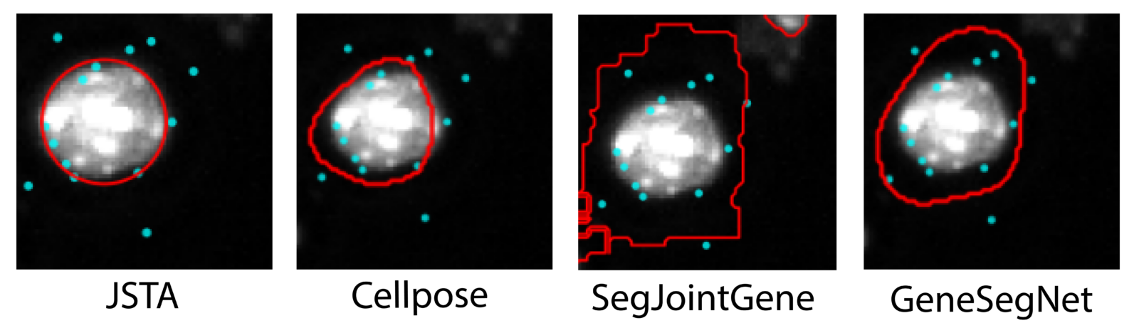 Four images of the same cell segmented with different tools, including SegJointGene